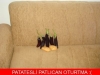 patlıcan oturtma / #263166