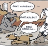 suat / #273945