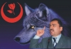 yazıcıoğlunun 2 saat içinde bulunmuş olması / #201289